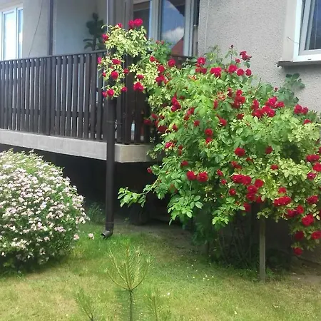 Agroturystyka Sypniewo Farm stay *