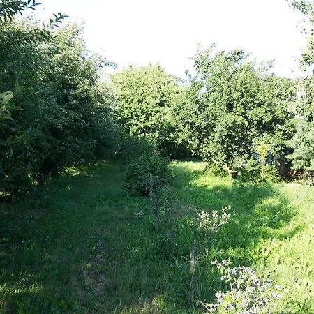 Agroturystyka Sypniewo * Sypniewo (Masovia)